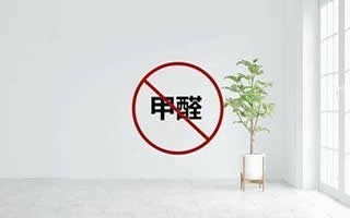 一站式服务：除蟑螂 甲醛治理 家政公司 空气治理